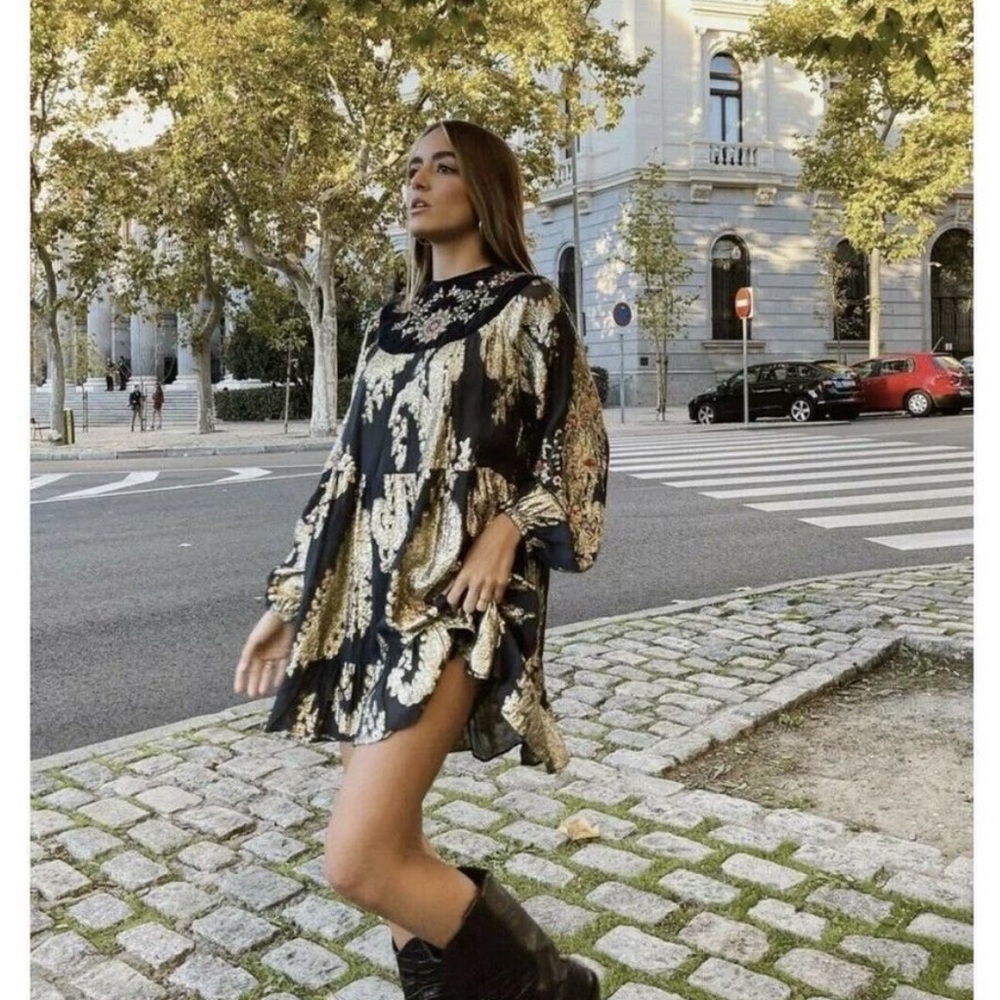ZARA Gold Velvet Embroidered Dress New